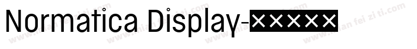 Normatica Display字体转换